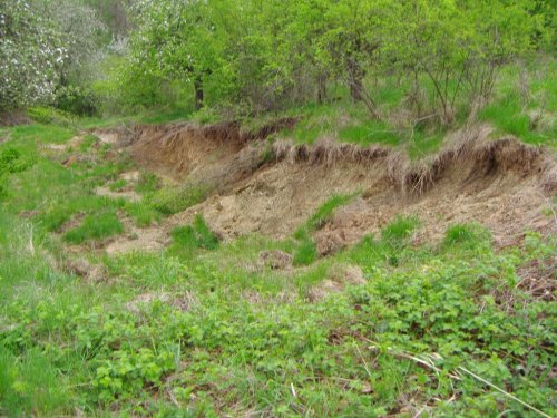 Sesuv půdy na Přecestném nad Žlebem - 7.5.2006